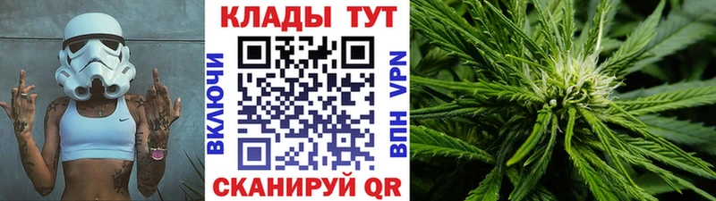Виды наркотиков купить Чехов Alpha-PVP  Кокаин  ГАШИШ  Марихуана 