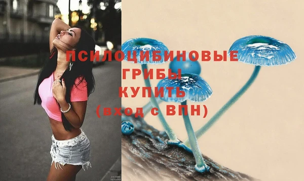 МДПВ Михайловка