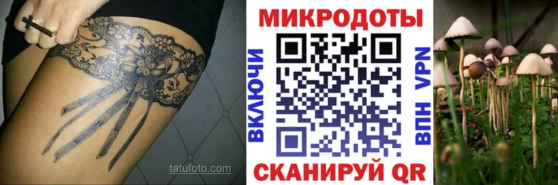 Галлюциногенные грибы мицелий  Чехов 