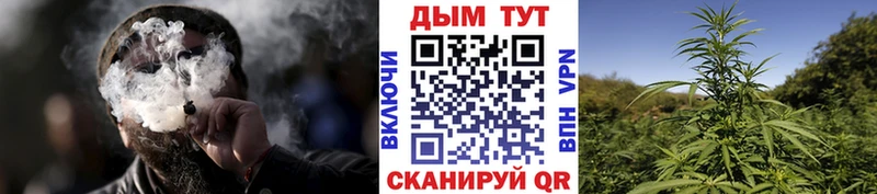 Бошки Шишки THC 21%  Чехов 